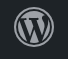 Wordpress icon